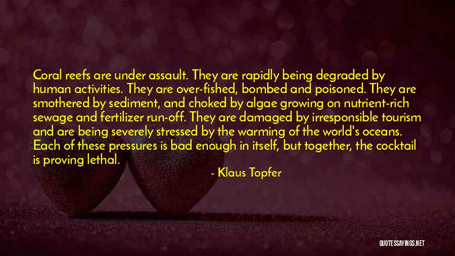 Deseo In English Quotes By Klaus Topfer Deseo In English Quotes By Klaus Topfer