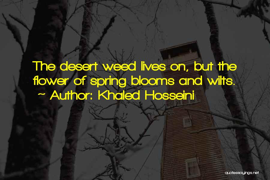 Desert Blooms Quotes By Khaled Hosseini