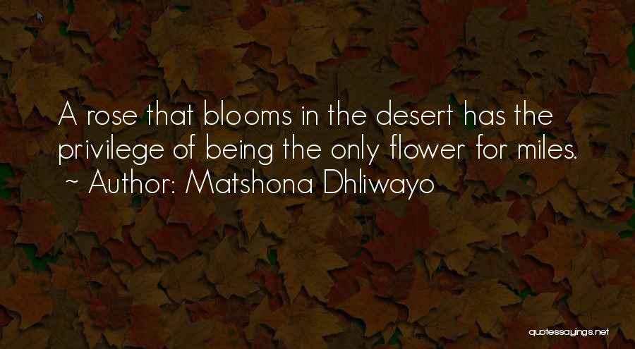 Desert Blooms Quotes By Matshona Dhliwayo