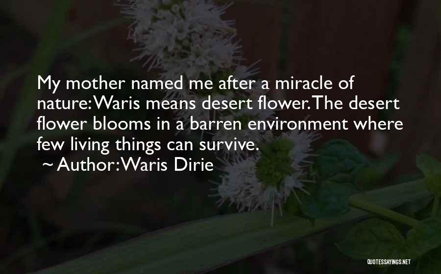 Desert Blooms Quotes By Waris Dirie