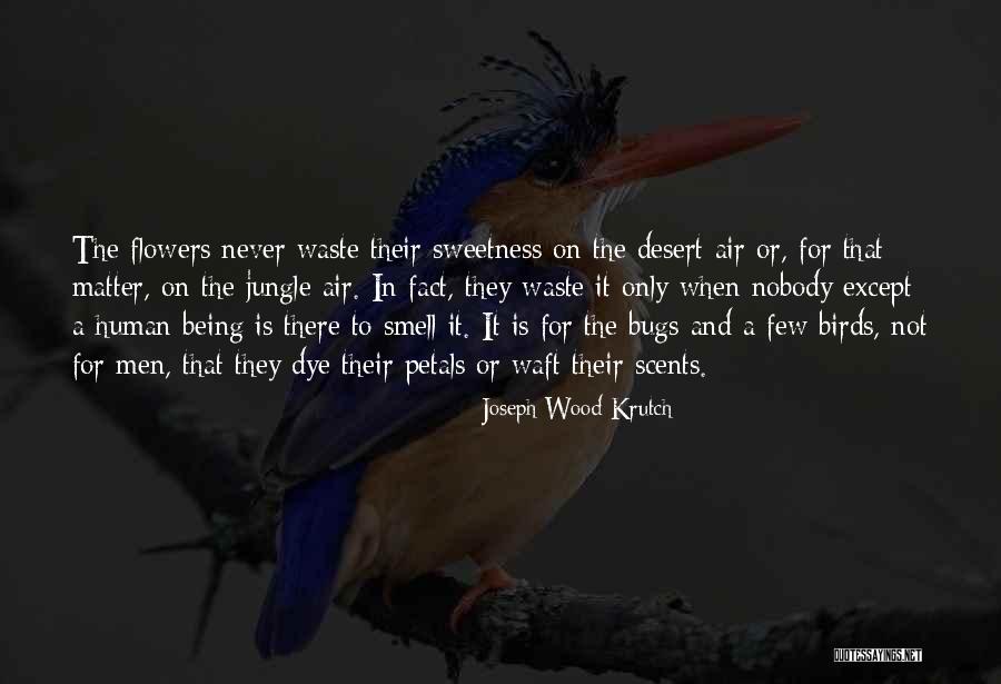 Desert Flowers Quotes By Joseph Wood Krutch Desert Flowers Quotes By Joseph Wood Krutch