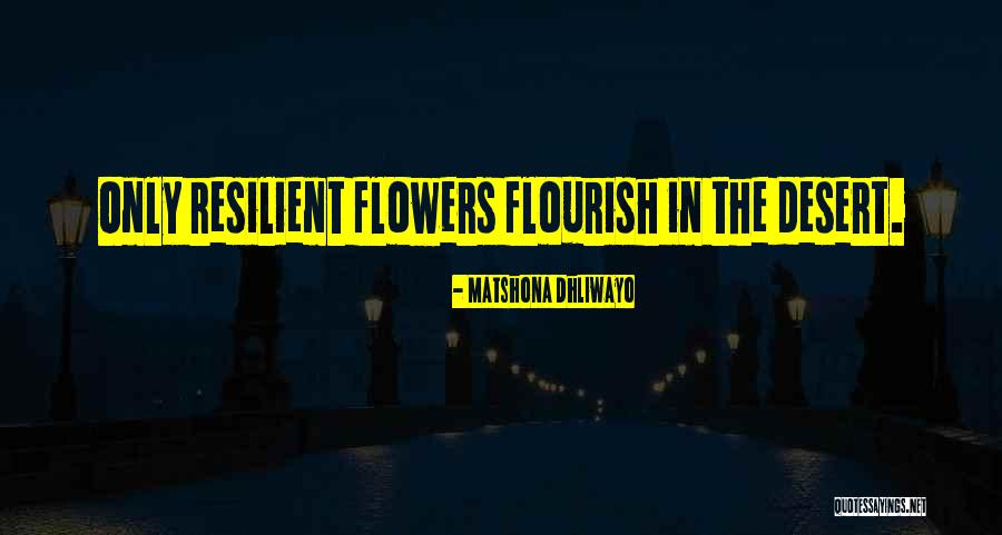 Desert Flowers Quotes By Matshona Dhliwayo Desert Flowers Quotes By Matshona Dhliwayo