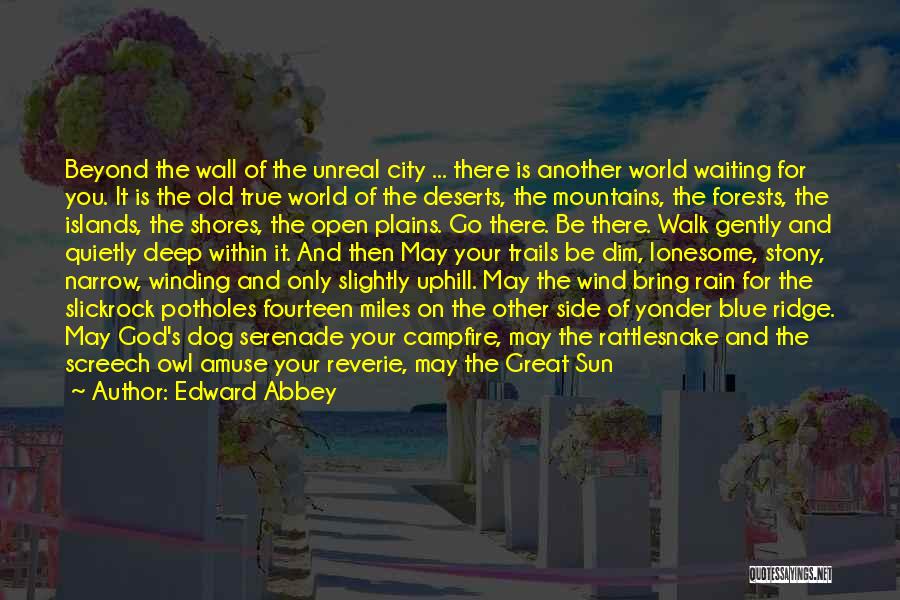 Desert Islands Quotes By Edward Abbey