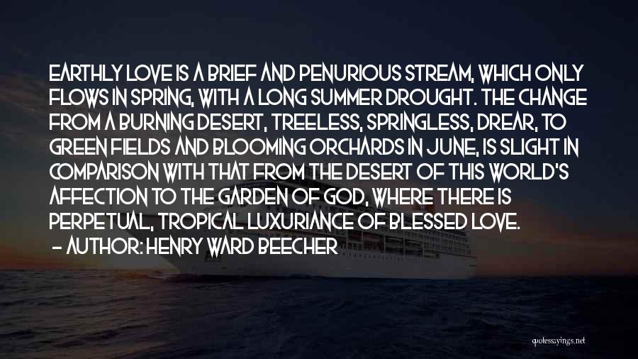 Desert Love Quotes By Henry Ward Beecher