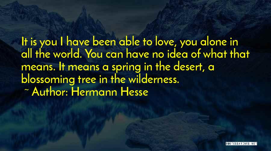 Desert Love Quotes By Hermann Hesse