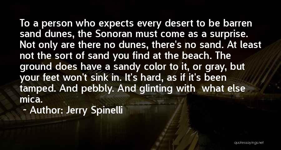 Desert Sand Quotes By Jerry Spinelli