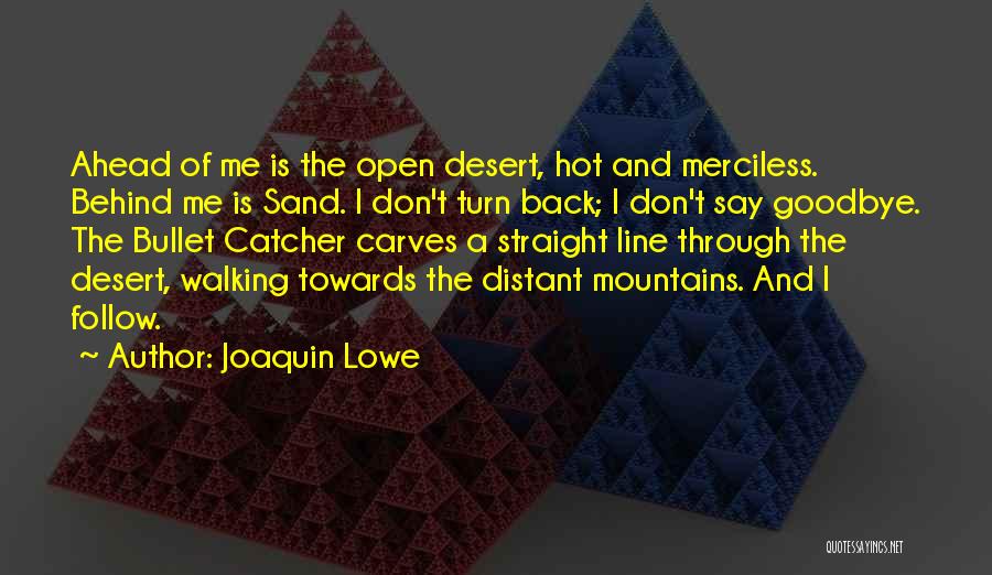 Desert Sand Quotes By Joaquin Lowe