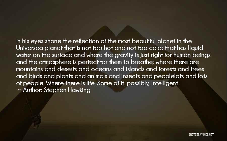 Deserts And Life Quotes By Stephen Hawking