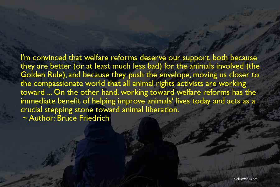 Deserve Much Better Quotes By Bruce Friedrich