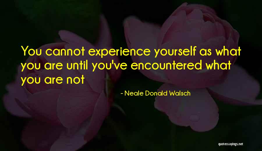 Desesperados En Quotes By Neale Donald Walsch Desesperados En Quotes By Neale Donald Walsch