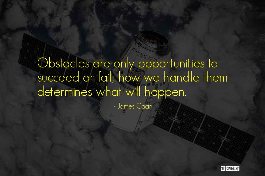 Desesperados Quotes By James Caan Desesperados Quotes By James Caan