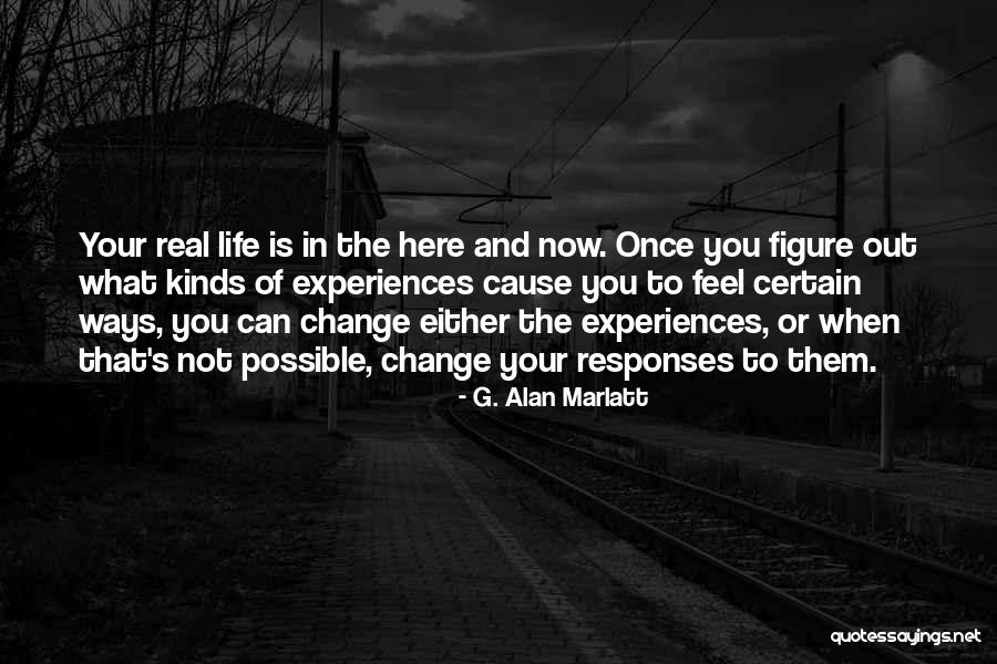 Desface Quotes By G. Alan Marlatt Desface Quotes By G. Alan Marlatt