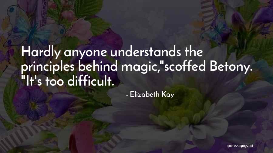Desgraciada In English Quotes By Elizabeth Kay Desgraciada In English Quotes By Elizabeth Kay
