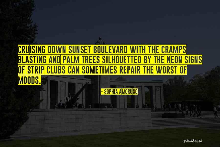 Desharrapado Quotes By Sophia Amoruso Desharrapado Quotes By Sophia Amoruso
