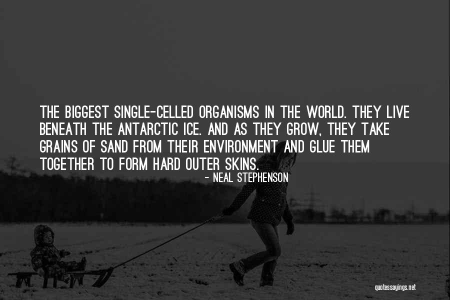 Deshawn Jackson Quotes By Neal Stephenson Deshawn Jackson Quotes By Neal Stephenson