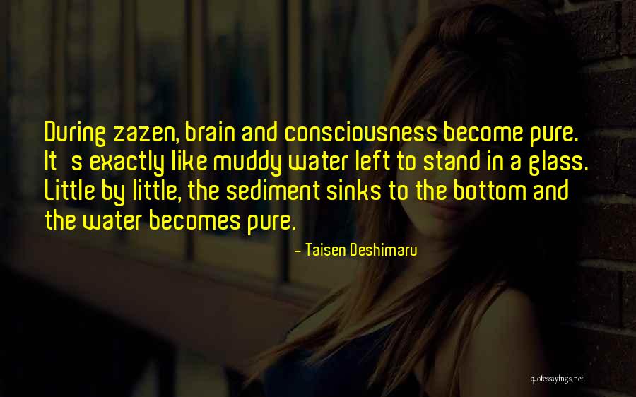 Deshimaru Taisen Quotes By Taisen Deshimaru Deshimaru Taisen Quotes By Taisen Deshimaru