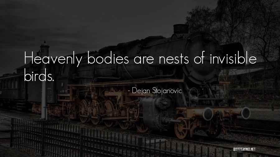 Deshojar Margaritas Quotes By Dejan Stojanovic Deshojar Margaritas Quotes By Dejan Stojanovic