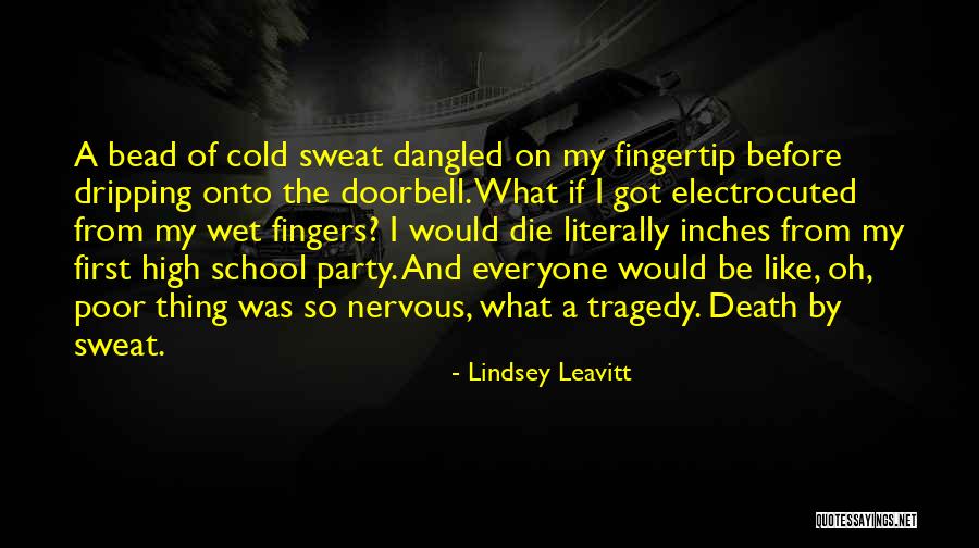 Desi Quotes By Lindsey Leavitt