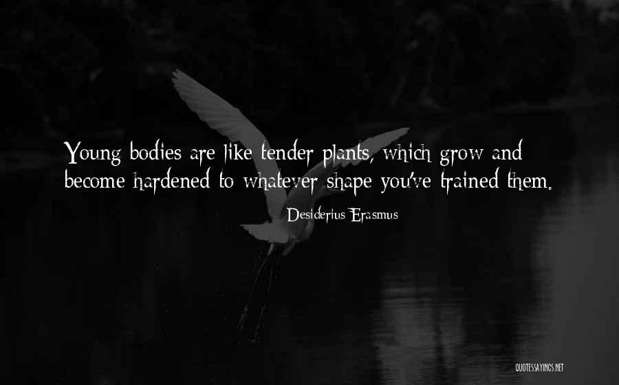 Desiderius Erasmus Quotes 120830 Desiderius Erasmus Quotes 120830