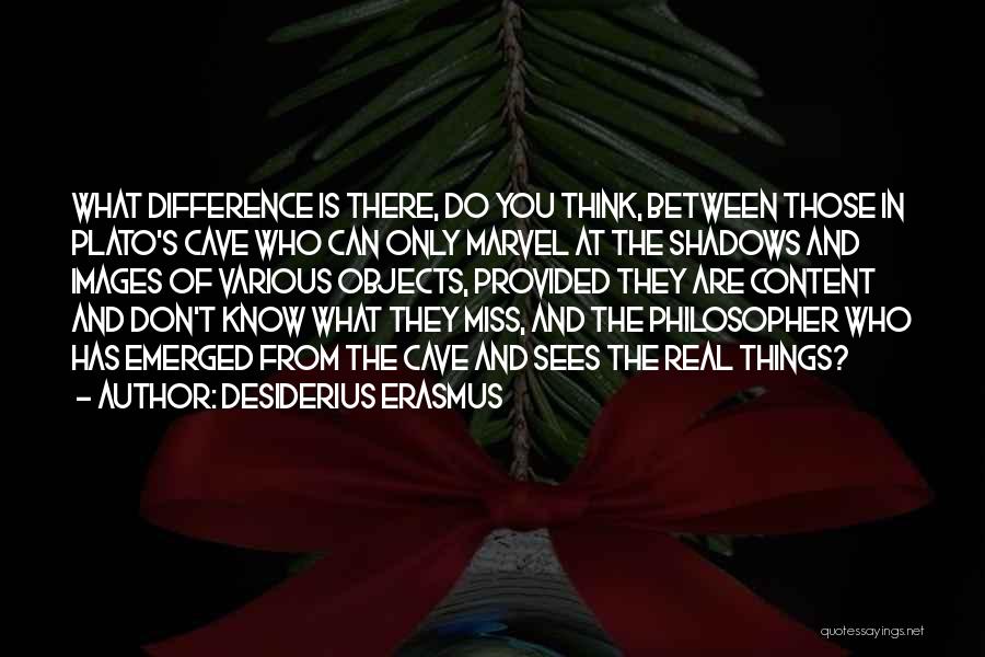 Desiderius Erasmus Quotes 1348038