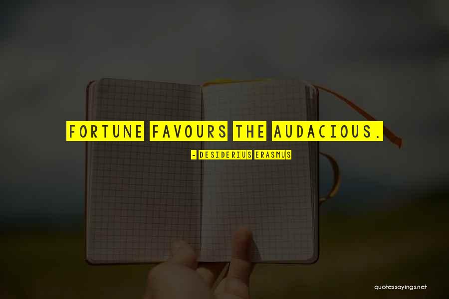Desiderius Erasmus Quotes 1998103 Desiderius Erasmus Quotes 1998103