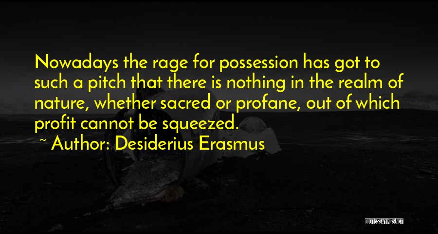 Desiderius Erasmus Quotes 2064683