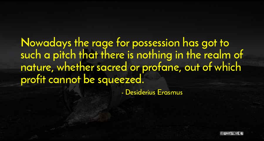 Desiderius Erasmus Quotes 2064683