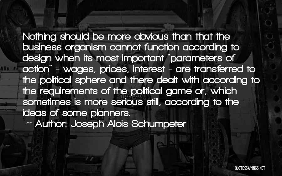 Design Function Quotes By Joseph Alois Schumpeter