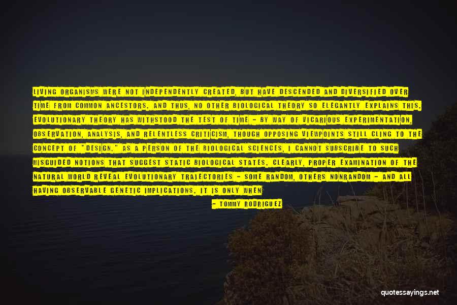 Design Theory Quotes By Tommy Rodriguez Design Theory Quotes By Tommy Rodriguez