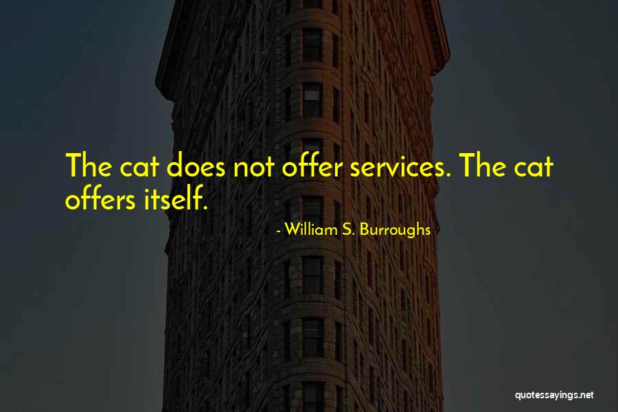 Designandlive Quotes By William S. Burroughs Designandlive Quotes By William S. Burroughs