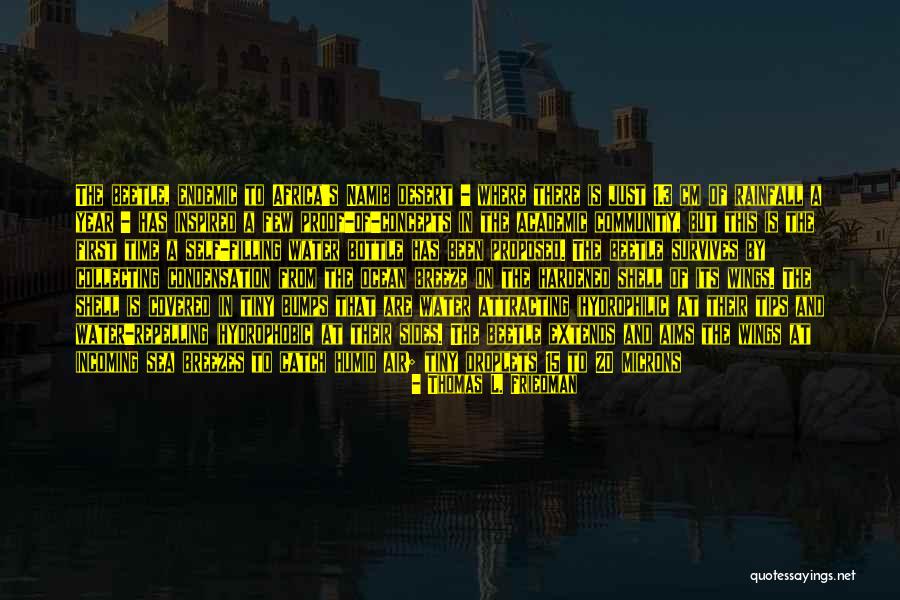 Designer Wall Lettering Quotes By Thomas L. Friedman Designer Wall Lettering Quotes By Thomas L. Friedman