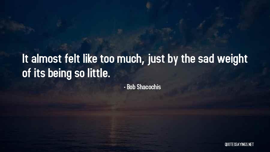 Designit Wipro Quotes By Bob Shacochis Designit Wipro Quotes By Bob Shacochis