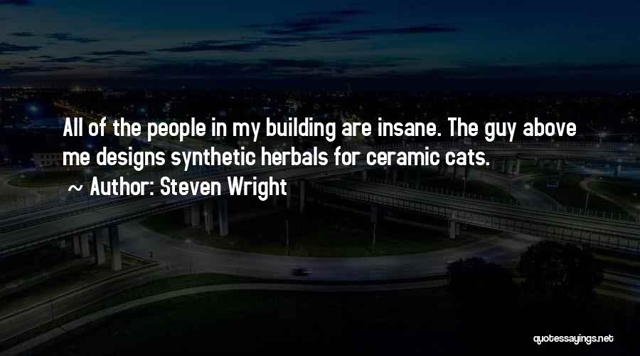 Designs Quotes By Steven Wright