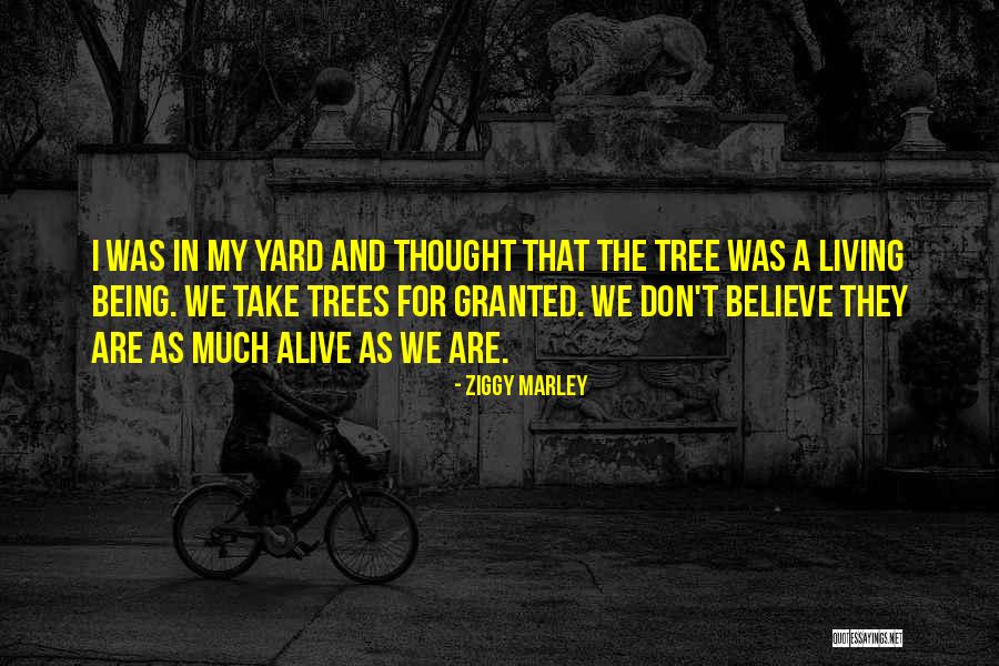 Desimir Trnavac Quotes By Ziggy Marley Desimir Trnavac Quotes By Ziggy Marley