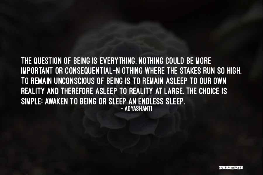 Desination Quotes By Adyashanti Desination Quotes By Adyashanti