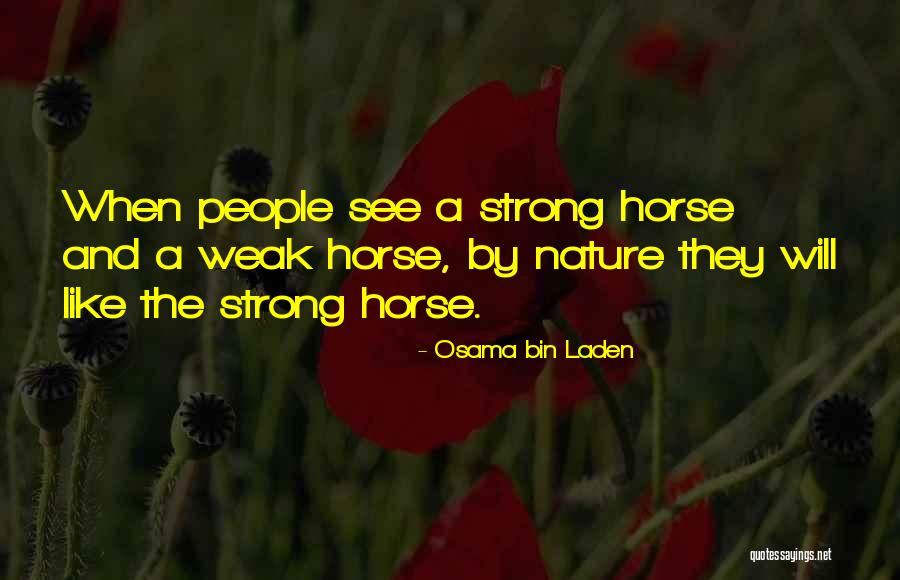 Desintegrar Quotes By Osama Bin Laden Desintegrar Quotes By Osama Bin Laden
