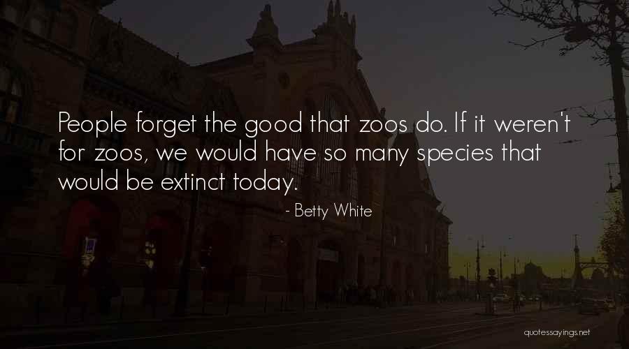 Desinteresado Definicion Quotes By Betty White Desinteresado Definicion Quotes By Betty White