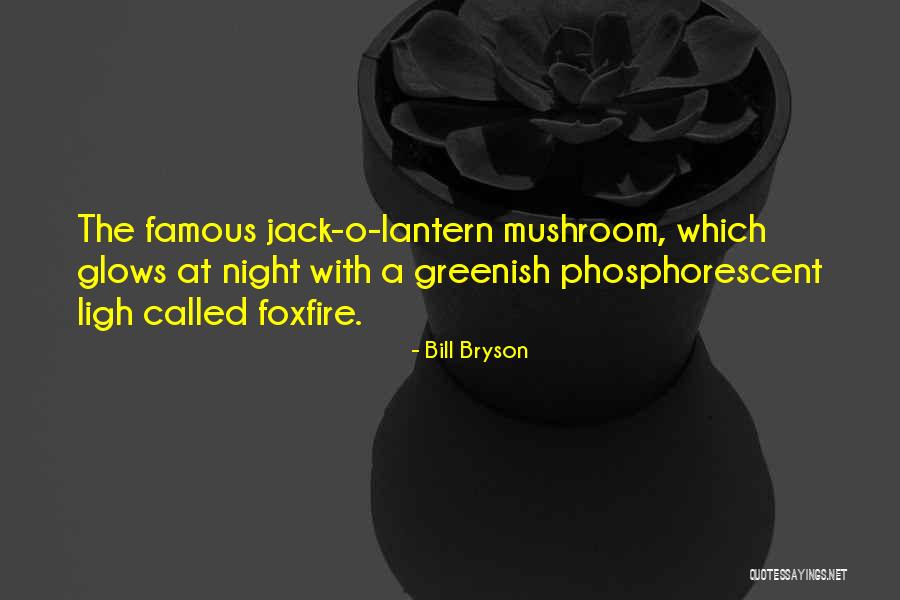 Desintoxicandome Quotes By Bill Bryson Desintoxicandome Quotes By Bill Bryson