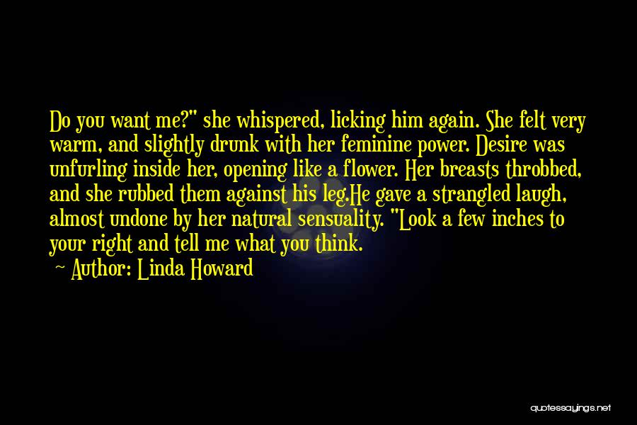 Desire And Power Quotes By Linda Howard