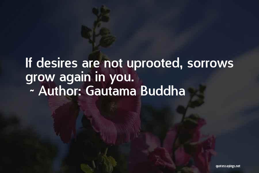 Desire Buddha Quotes By Gautama Buddha