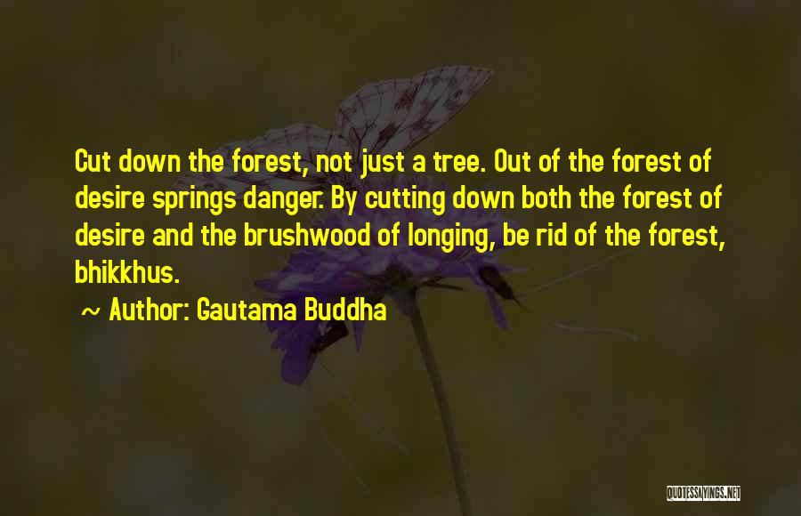 Desire Buddha Quotes By Gautama Buddha