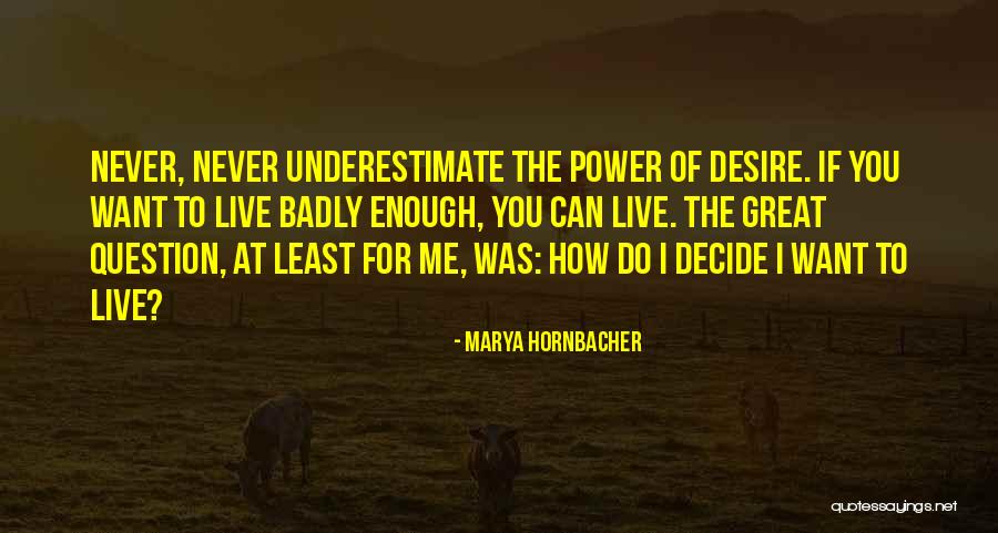 Desire For Power Quotes By Marya Hornbacher