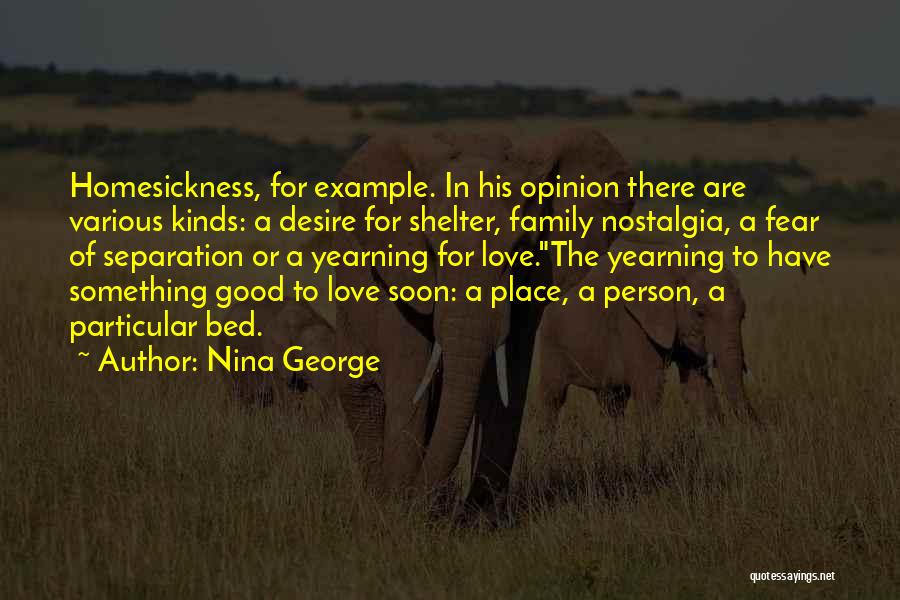 Desire For Something Quotes By Nina George