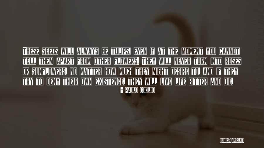 Desire To Die Quotes By Paulo Coelho Desire To Die Quotes By Paulo Coelho