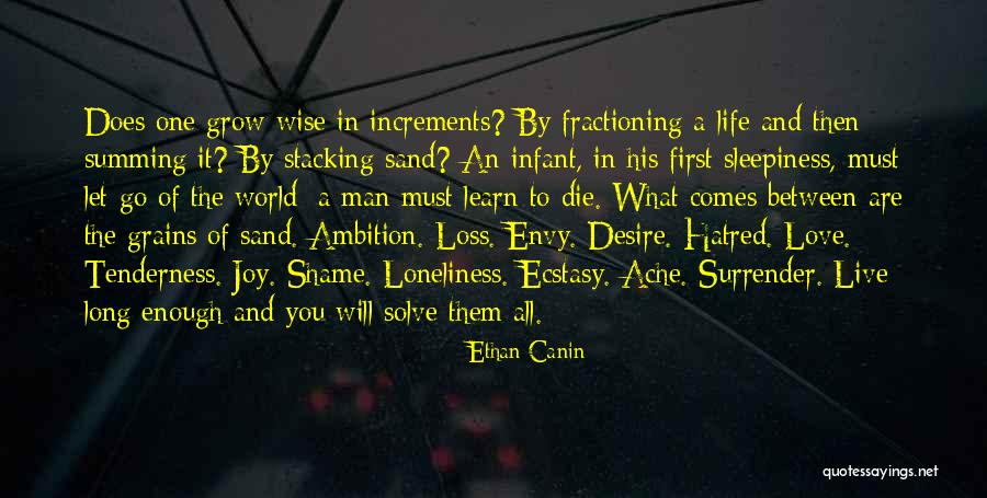 Desire To Grow Quotes By Ethan Canin