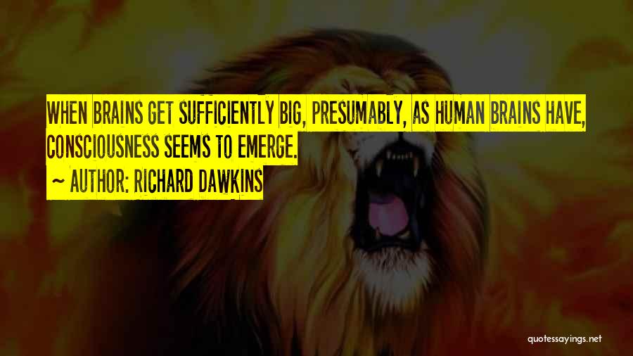 Desislava Dobreva Quotes By Richard Dawkins