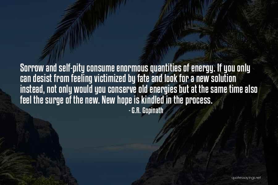 Desist Quotes By G.R. Gopinath