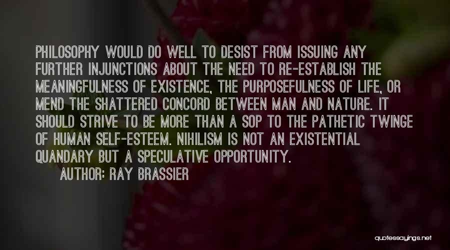 Desist Quotes By Ray Brassier