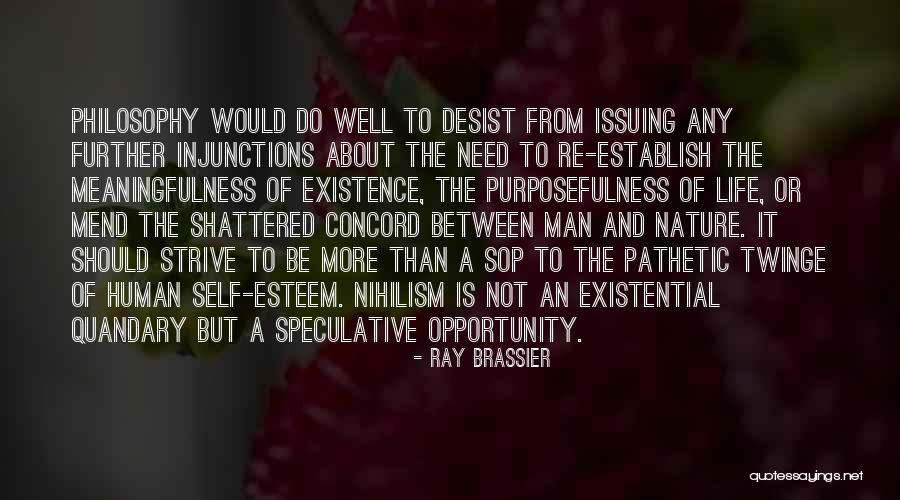 Desist Quotes By Ray Brassier