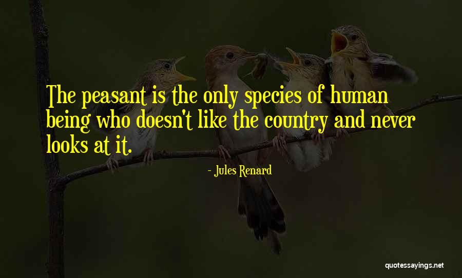Deskarina Quotes By Jules Renard Deskarina Quotes By Jules Renard